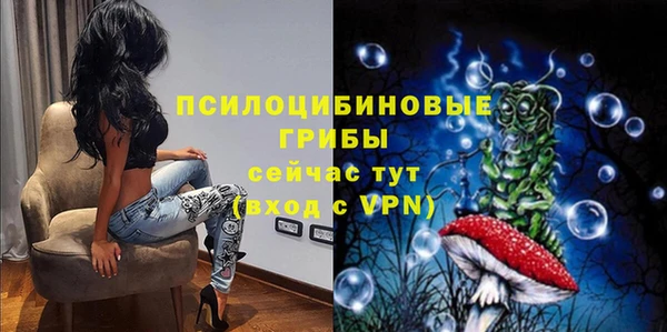 бошки Алексеевка