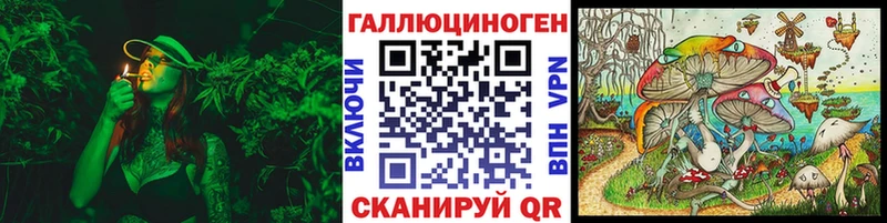 купить   Глазов  Галлюциногенные грибы Magic Shrooms 